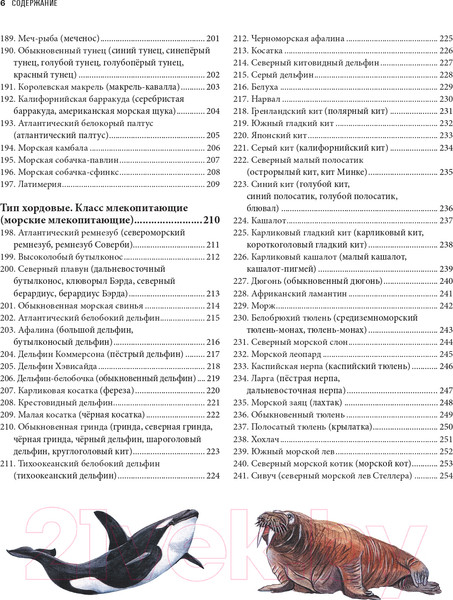 Изображение товара Энциклопедия Эксмо Подводный мир. Большая иллюстрированная энциклопедия (Куценко М.)