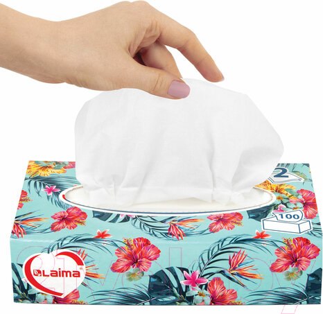 Изображение товара Бумажные салфетки Laima Everyday. Косметические / 113588 (100шт)