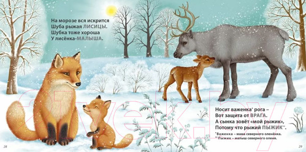 Изображение товара Книга Робинс Загадки – рифмы (Сосновский Е.)