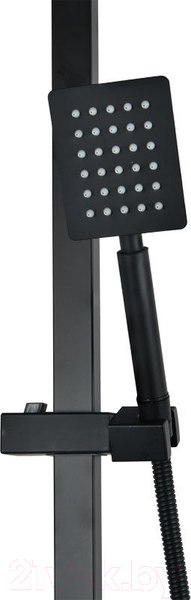 Изображение товара Душевая система со смесителем Wisent W72417B
