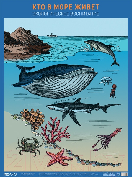 Изображение товара Развивающий плакат Мозаика-Синтез Кто в море живет / МС12704