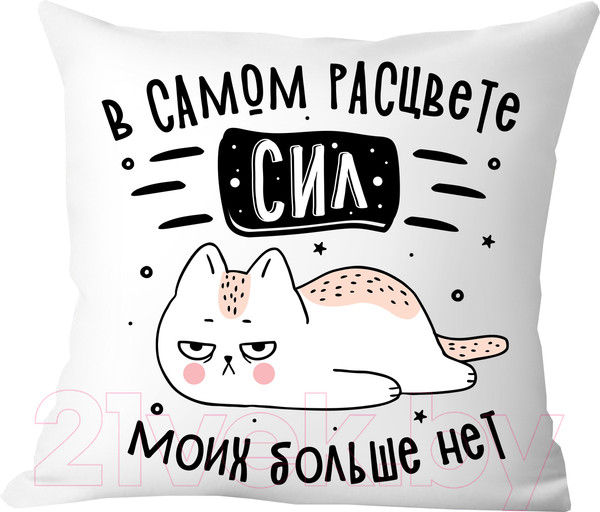 Изображение товара Подушка декоративная Print Style В самом расцвете сил, моих больше нет / 40x40plat255