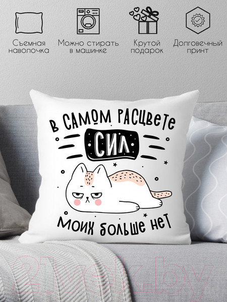 Изображение товара Подушка декоративная Print Style В самом расцвете сил, моих больше нет / 40x40plat255