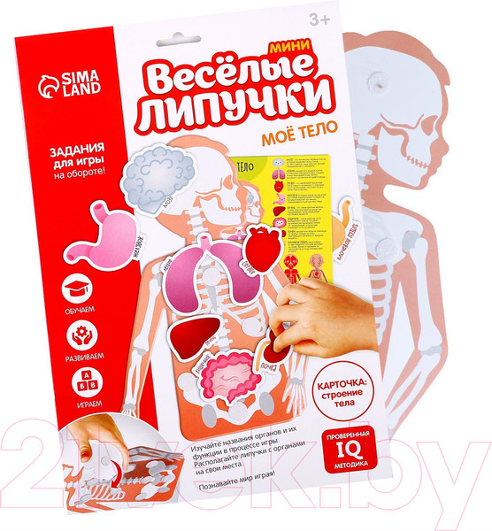 Изображение товара Развивающая игра Веселые липучки Мое тело / 5598574