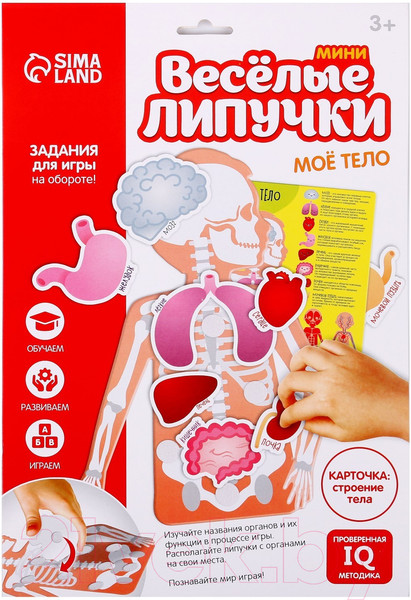Изображение товара Развивающая игра Веселые липучки Мое тело / 5598574