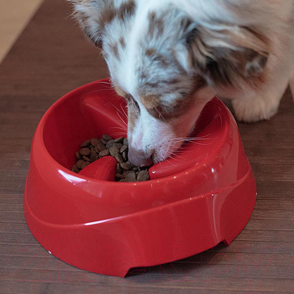 Изображение товара Миска для животных Ferplast Magnus Slow Medium / 71133099 (серый)