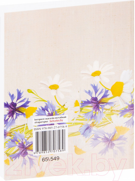 Изображение товара Календарно-тематическое планирование Выснова Праз старажытнасць – у будучыню (Варанецкая Л., Пралыгіна Н. і інш.)