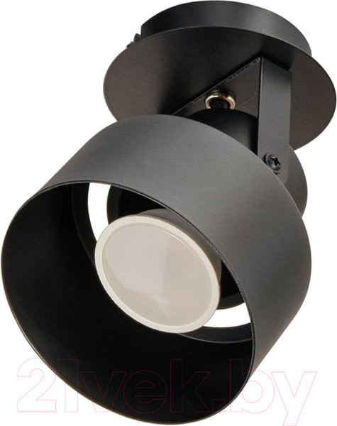 Изображение товара Спот Imex IL.0005.1301 BK