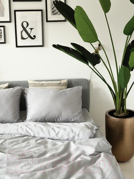 Изображение товара Комплект постельного белья GoodNight Сатин Делюкс 1.5 / 267083 (серый)