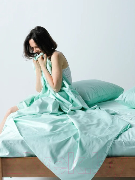 Изображение товара Комплект постельного белья GoodNight Сатин Делюкс Евро 2 / 385241 (мята)