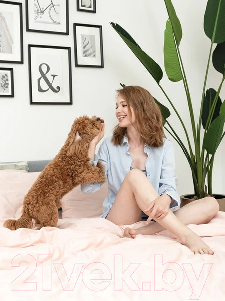 Изображение товара Комплект постельного белья GoodNight Сатин Делюкс Евро 2 / 341725 (розовый)