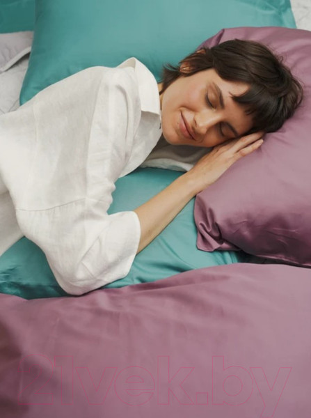 Изображение товара Комплект постельного белья GoodNight Сатин Делюкс Дуэт / 330927 (50x70, пыльная роза)