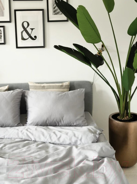 Изображение товара Комплект постельного белья GoodNight Сатин Делюкс Дуэт / 266586 (50x70, серый)