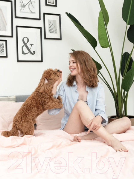 Изображение товара Комплект постельного белья GoodNight Сатин Делюкс Евро / 341727 (50x70, розовый)