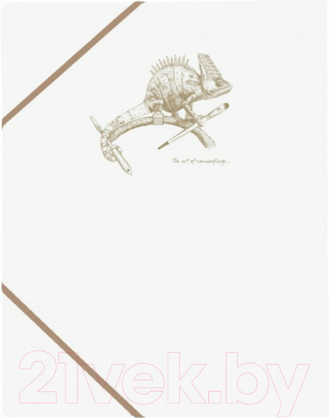 Изображение товара Папка для бумаг Clairefontaine Flying Spirit / 104514C (белый)