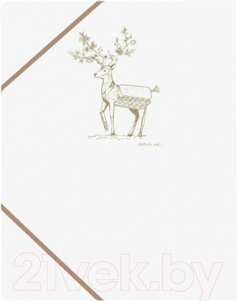 Изображение товара Папка для бумаг Clairefontaine Flying Spirit / 104514C (белый)