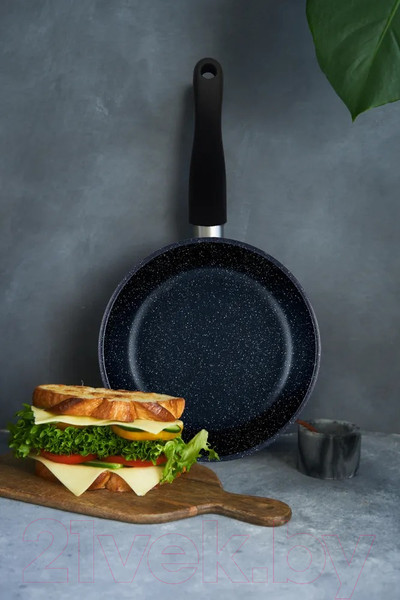 Изображение товара Сковорода Нева Металл Посуда Titan Space 918126i