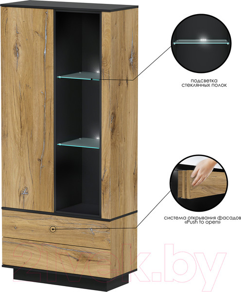 Изображение товара Шкаф Интерлиния Quartz QZ-ШК1 с подсветкой (дуб нокс/черный)