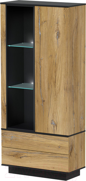 Изображение товара Шкаф Интерлиния Quartz QZ-ШК1 с подсветкой (дуб нокс/черный)