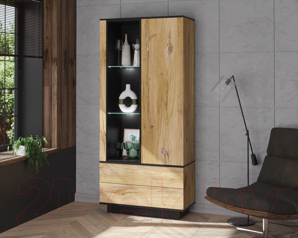 Изображение товара Шкаф Интерлиния Quartz QZ-ШК1 с подсветкой (дуб нокс/черный)