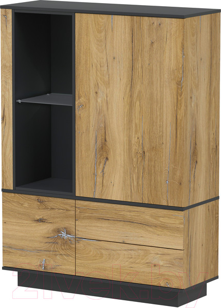 Изображение товара Шкаф Интерлиния Quartz QZ-ШК2 (дуб нокс/черный)