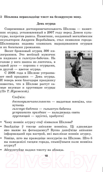 Изображение товара Учебное пособие Выснова Беларуская мова. 10 клас. Дыдактычныя і дыягнастычныя матэрыялы (Валочка Г.М., Зелянко В.У., Якуба С.М.)