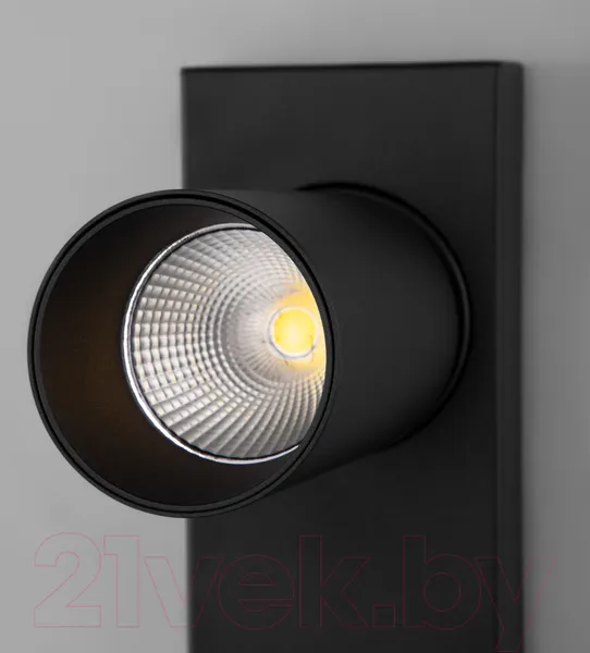 Изображение товара Спот Евросвет 20139/1 LED (черный)