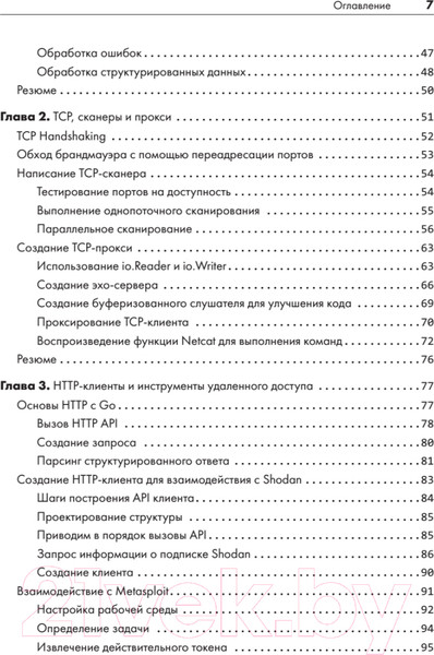 Изображение товара Книга Питер Black Hat Go. Программирование для хакеров (Стил Т. и др.)