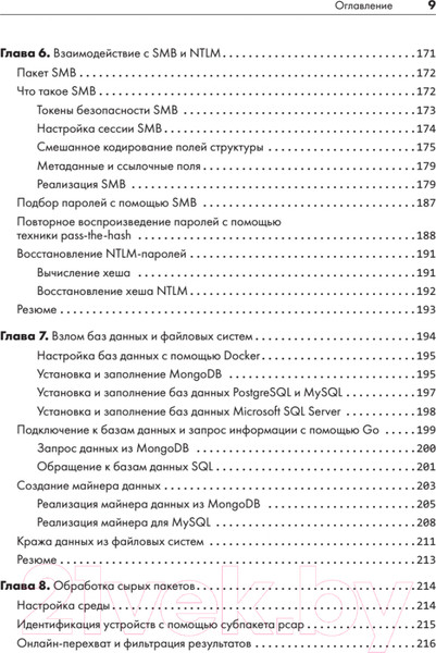 Изображение товара Книга Питер Black Hat Go. Программирование для хакеров (Стил Т. и др.)