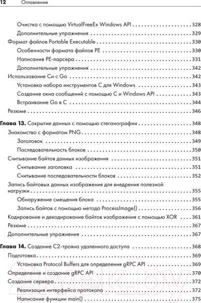 Изображение товара Книга Питер Black Hat Go. Программирование для хакеров (Стил Т. и др.)