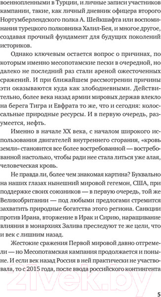Изображение товара Книга Питер Первая война за иракскую нефть (Копылов К.)