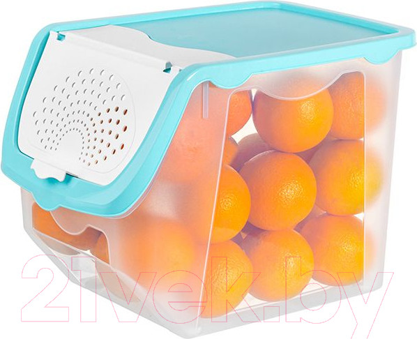 Изображение товара Емкость для хранения El Casa 640137 (прозрачный/бирюзовый)