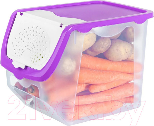Изображение товара Емкость для хранения El Casa 640184 (прозрачный/фиолетовый)
