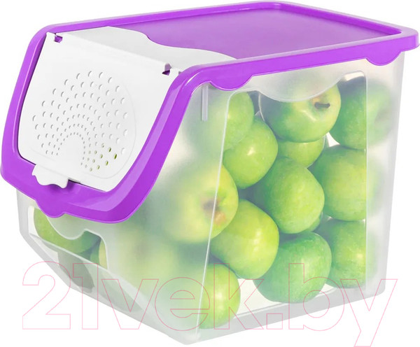 Изображение товара Емкость для хранения El Casa 640184 (прозрачный/фиолетовый)