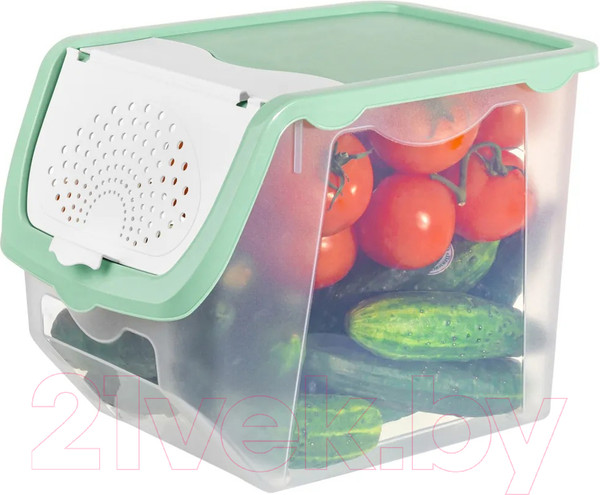 Изображение товара Емкость для хранения El Casa 640185 (прозрачный/фисташковый)
