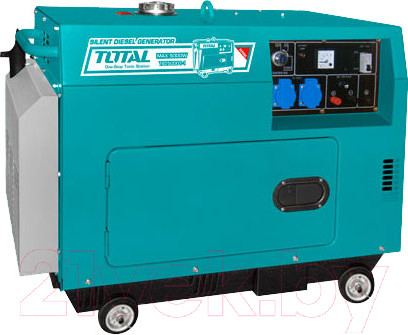 Изображение товара Дизельный генератор TOTAL TP250001