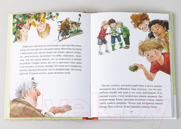 Изображение товара Художественная книга Альпина Однажды в Симплвельде (Ремиш Н.)