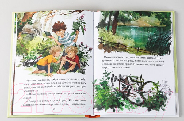 Изображение товара Художественная книга Альпина Однажды в Симплвельде (Ремиш Н.)