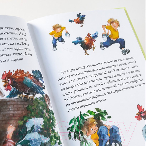 Изображение товара Художественная книга Альпина Однажды в Симплвельде (Ремиш Н.)