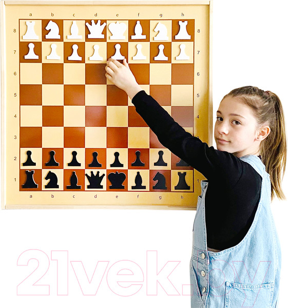 Изображение товара Шахматы Десятое королевство Демонстрационные / 01756