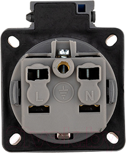 Изображение товара Розетка штепсельная Rexant 111-008