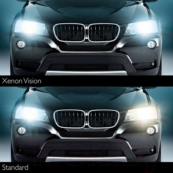 Изображение товара Автомобильная лампа Philips 42402VIC1