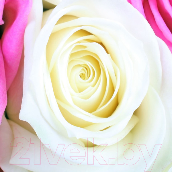 Изображение товара Фотообои листовые Citydecor Букет роз 2 (300x254)