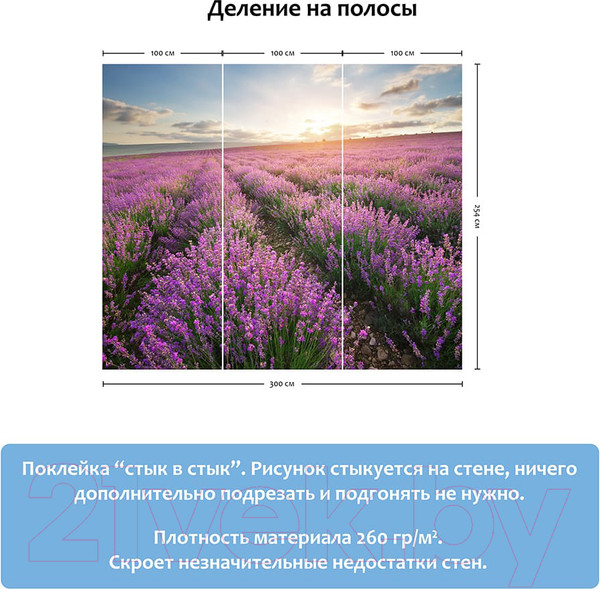 Изображение товара Фотообои листовые Citydecor Лавандовое поле (300x254)