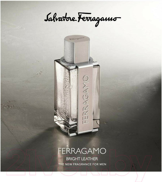 Изображение товара Парфюмерная вода Salvatore Ferragamo Ferragamo Bright Leathe (100мл)