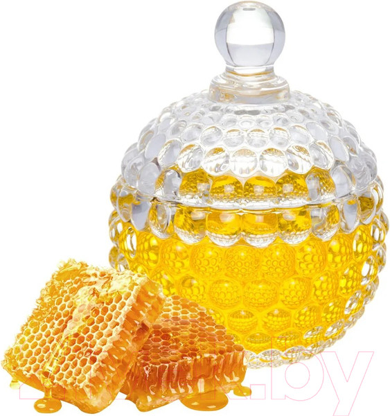 Изображение товара Емкость для хранения Elan Gallery Пузырьки / 890167