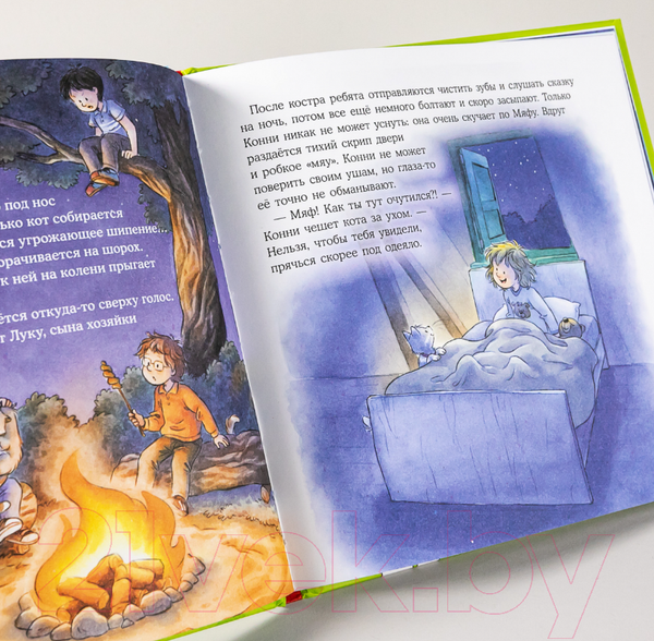 Изображение товара Книга Альпина Конни едет на экскурсию (Шнайдер Л.)