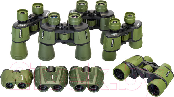 Изображение товара Бинокль Levenhuk Travel 10x40 / 79574