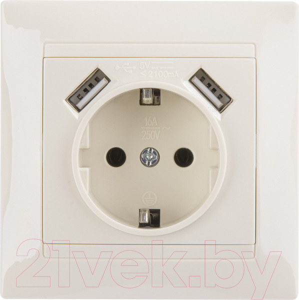 Изображение товара Розетка TDM Лама SQ1815-0142 (слоновая кость)