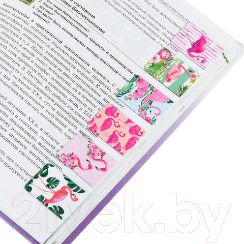 Изображение товара Набор закладок Brauberg Flamingo / 113165 (6шт)